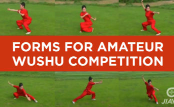 Forms for Amateur Wushu Competition